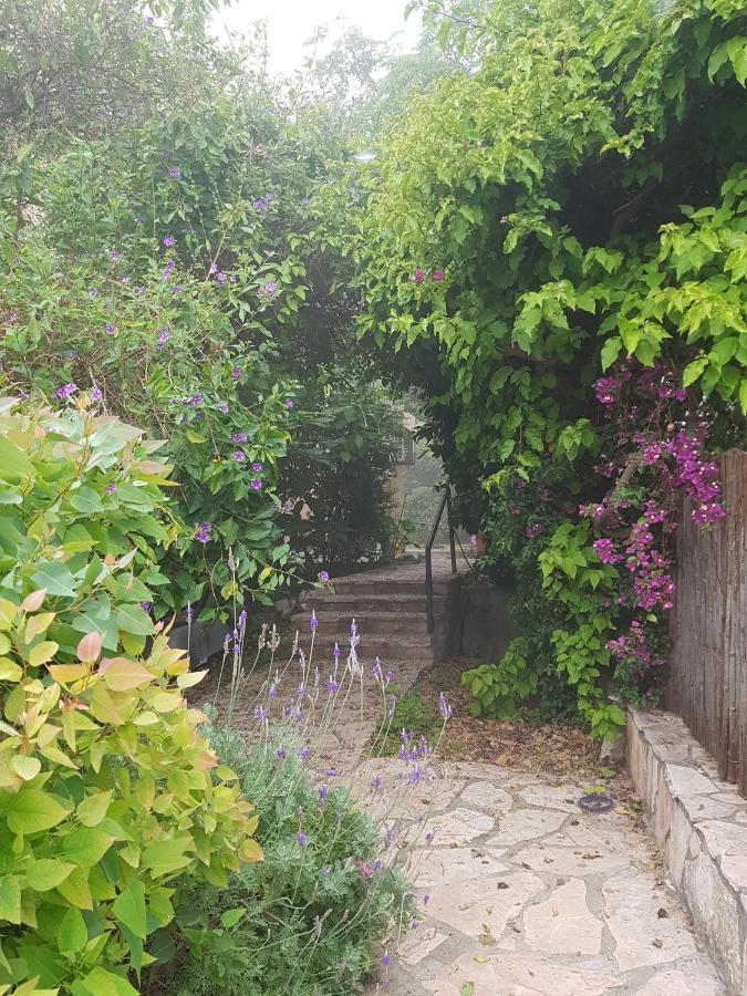 Galilean Villa With Jacuzzi Qiryat Amal エクステリア 写真