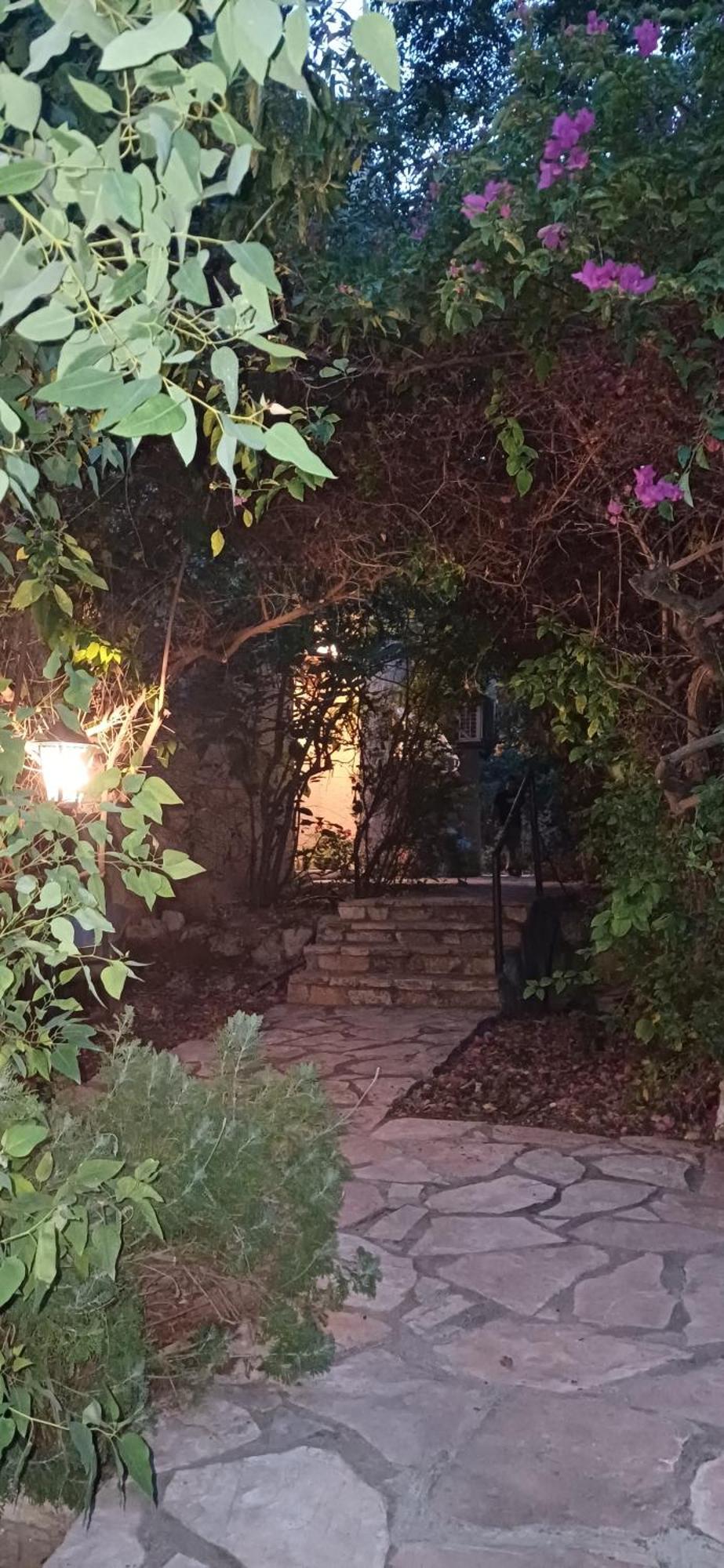 Galilean Villa With Jacuzzi Qiryat Amal エクステリア 写真